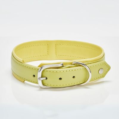 Laboni Amici kaulapanta, Sitruuna / L