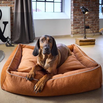 Laboni Classic Buffalo koiranpeti - Vintage, Karamelli / L (112 x 95 x 25cm)