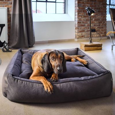 Laboni Classic Buffalo koiranpeti - Vintage, Antrasiitti / M (85 x 66 x 22cm)