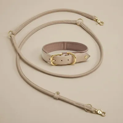 Laboni Amici kaulapanta + hihna setti - Ivory, XL