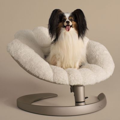 Tavo Pets Shell - lemmikin sänky ja lepotuoli