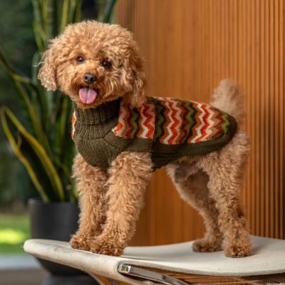 Alqo Wasi Forest Chevron Knit koiran alpakkaneule, S