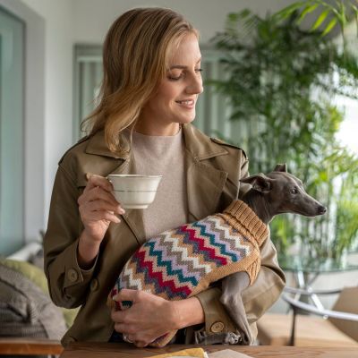 Alqo Wasi Camel Chevron Knit alpakkaneule koirille, XS