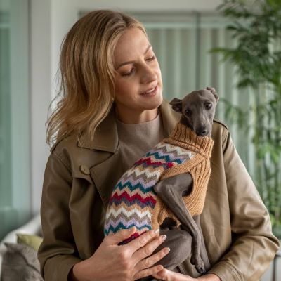 Alqo Wasi Camel Chevron Knit alpakkaneule koirille, M