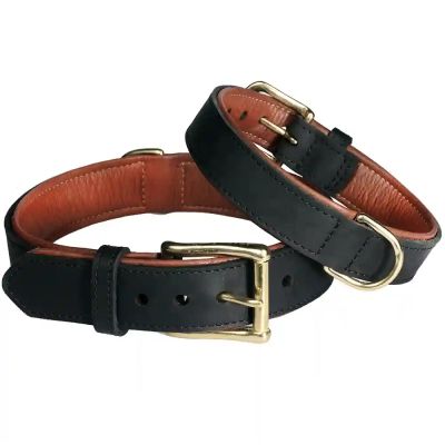 PetFirst Pet First Rasvanahkapanta Vuorella, musta/rusk., 30 mm x 65 cm