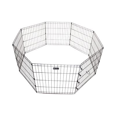 Brava Pentuaitaus, M