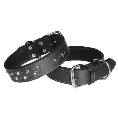 PetFirst Koiran musta Niittipanta vuorella, 40mm x 60cm