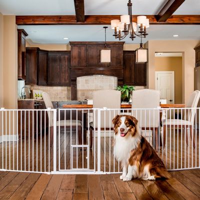 Carlson 2 in 1 - Superleveä Portti ja Pentuaitaus