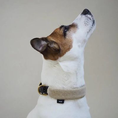 Hunting Pony Koiran Biothane Kaulapanta Pony - Mascarpony, Beige / S