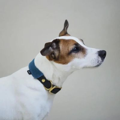 Hunting Pony Koiran Biothane Kaulapanta Pony - Mascarpony, Siniharmaa / S