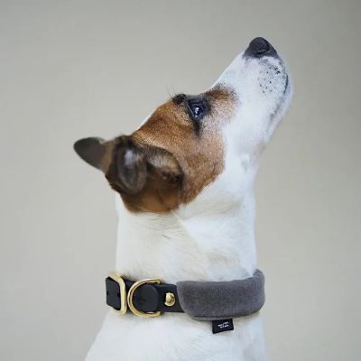 Hunting Pony Koiran Biothane Kaulapanta Pony - Mascarpony, Harmaa / M