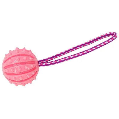 Boogie Koiran nystyräpallo köydellä, Pinkki