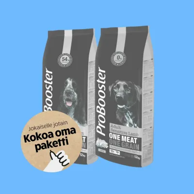 Fast Bundle ProBooster - Tassukaverin Sekapaketti