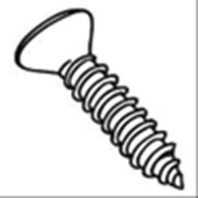 Carlson Seinäkiinnitysruuvi