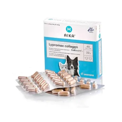 AIKA Lypromax Collagen 40 kaps., kuva 1 / 1