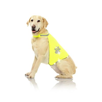 PAWISE Koiran Huomioliivi, S