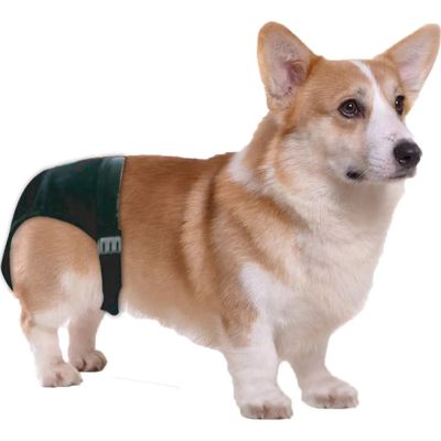 PAWISE Juoksuhousut, XL