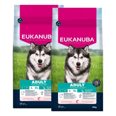 Eukanuba Adult Large Breed Salmon&Barley 2 x 12kg, kuva 1 / 1