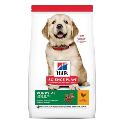 Hill's Science Plan Dog Puppy Large Breed (14,5kg)