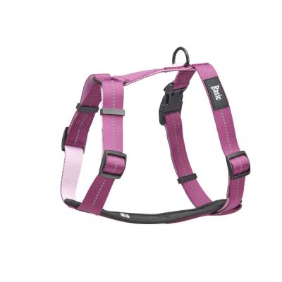 Basic Fresh Y-valjaat, fuksia (L)