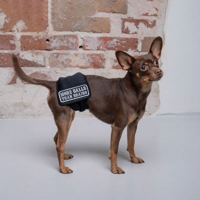 RuttuNuttu urosvyö, Balls (M)