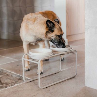 Kuppiteline District 70 Butler (M)