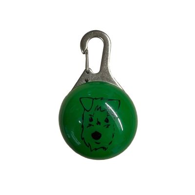 Huomiovalo PetEasy Pete (Vihreä)