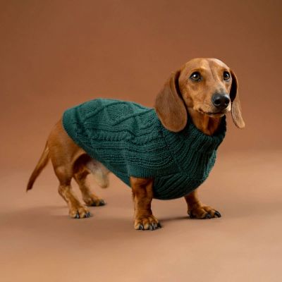 Alqo Wasi Emerald Green Aran koiran alpakkaneule, L