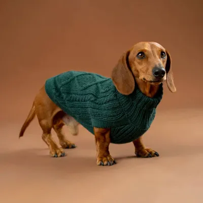 Alqo Wasi Emerald Green Aran koiran alpakkaneule, L, kuva 1 / 1