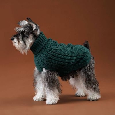 Alqo Wasi Emerald Green Aran koiran alpakkaneule, XS