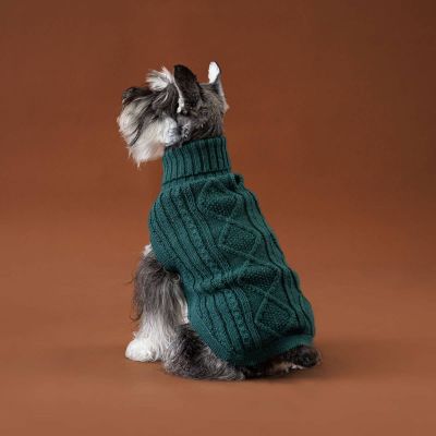 Alqo Wasi Emerald Green Aran koiran alpakkaneule, M