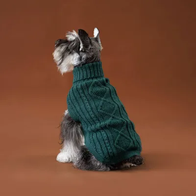 Alqo Wasi Emerald Green Aran koiran alpakkaneule, M, kuva 1 / 1
