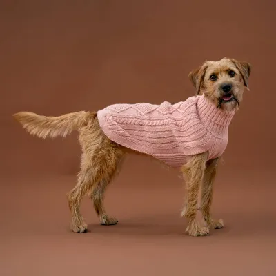 Alqo Wasi Blush Pink Aran koiran alpakkaneule, M