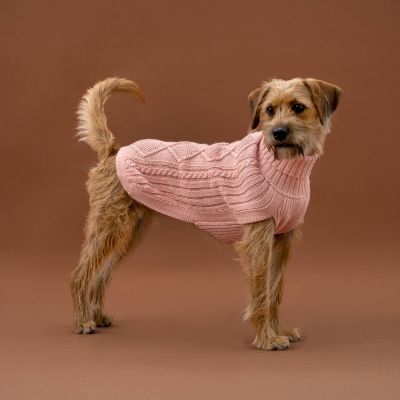 Alqo Wasi Blush Pink Aran koiran alpakkaneule, XS