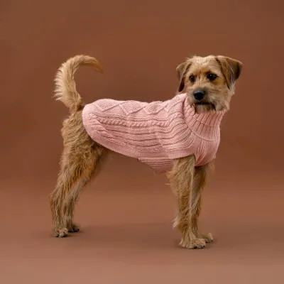 Alqo Wasi Blush Pink Aran koiran alpakkaneule, XS