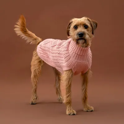 Alqo Wasi Blush Pink Aran koiran alpakkaneule, S