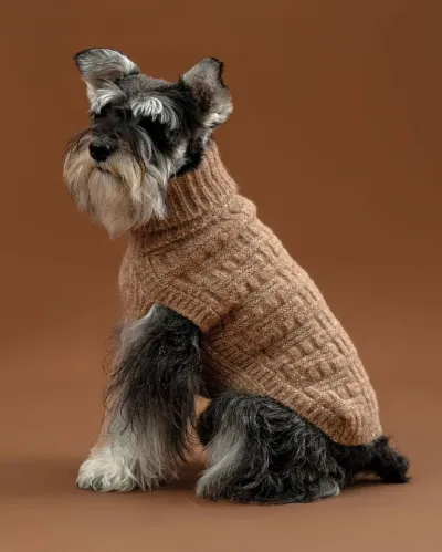 Alqo Wasi Waffle Basket Knit koiran alpakkaneule, XS