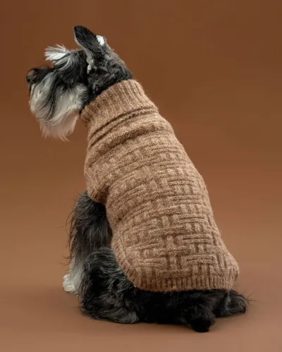 Alqo Wasi Waffle Basket Knit koiran alpakkaneule, S