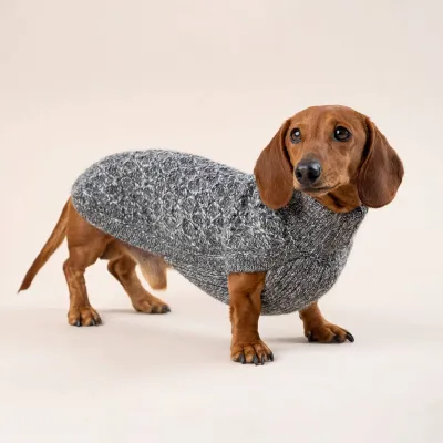 Alqo Wasi Salt & Pepper Knit 100% koiran alpakkaneule, S