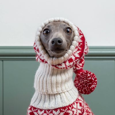 Alqo Wasi Christmas Snowflake Red koiran alpakkapipo