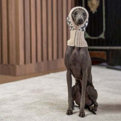 Alqo Wasi Woolly Winter koiran alpakkapipo, XS