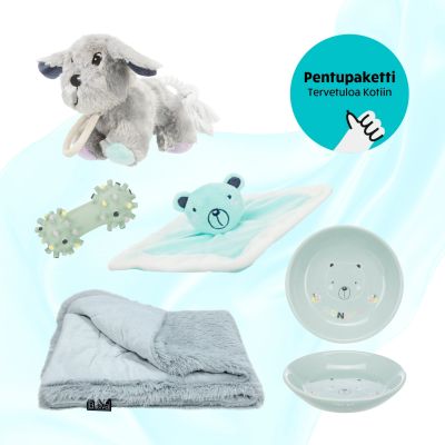 Koiratarvike Haukkula Pentupaketti - Tervetuloa Kotiin, turkoosi