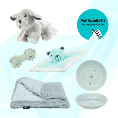 Koiratarvike Haukkula Pentupaketti - Tervetuloa Kotiin, turkoosi, kuva 1 / 1
