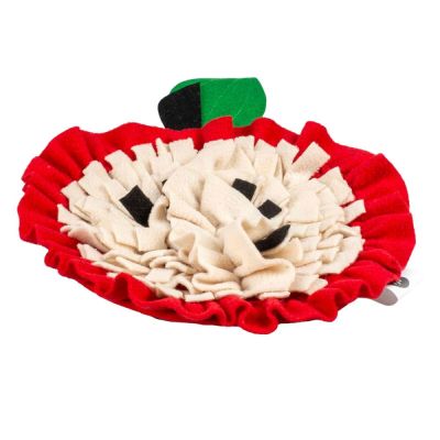 Duvoplus Nuuskumatto koiralle, omena