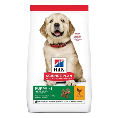 Hill's Science Plan Dog Puppy Large Breed (6 kg)