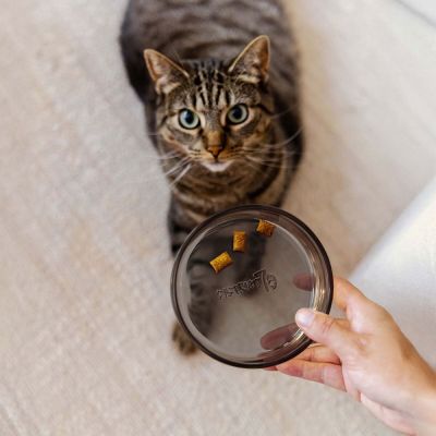 District 70 lasikuppi Dawn (Musta)