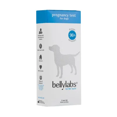 Bellylabs Koiran Tiineystesti