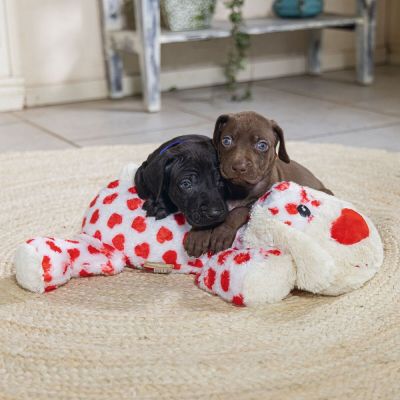 Beeztees Cuddle Toy Suki XL