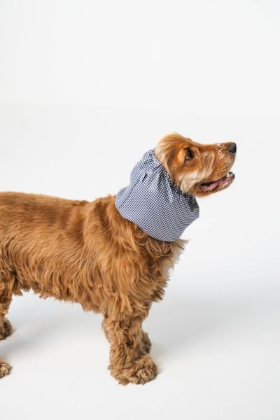 Lou and co. Lou & Co. Vedenpitävä Koiran Huppu - Ruudut, M | Alk. 30,00 €