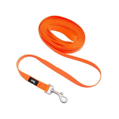 Basic Training koulutusliina koiralle 5 m, oranssi